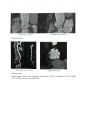 KCTA 정리본 - 2 36페이지