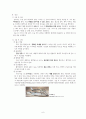 성인실습 케이스 무릎골관절염 8페이지