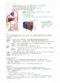 간호학과-성인간호 상하 노트정리(국시 준비) 68페이지