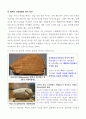크세노폰 키루스의교육 19페이지