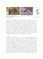 멸종위기 야생생물에 관하여 조사하시오 5페이지