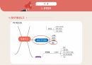 공학설계 설계보고서, 공학설계 레포트 [화재취약계층을 위한 피난기구] 발표 PPT 9페이지