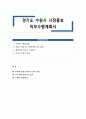 경기도 수원시 시정홍보 직무수행계획서 1페이지