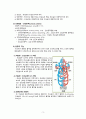 성인간호학 심방세동 Case study(간호과정, 간호진단) A+ 5페이지