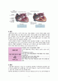 성인간호학 심방세동 Case study(간호과정, 간호진단) A+ 7페이지