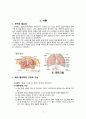 성인간호학 폐렴 case study 간호과정, 간호진단 포함 A+ 3페이지