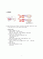 성인간호학 폐렴 case study 간호과정, 간호진단 포함 A+ 5페이지
