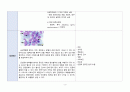 A+ 급성 골수성 백혈병(Acute Myeloid leukemia) 케이스 스터디 (간호진단 3개, 간호중재 38개) 4페이지