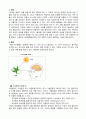 (미용색채학)색채혼합원리에 대해 기술하시오 2페이지