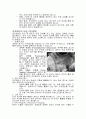 모성간호 전치태반 문헌고찰 및 간호진단 6개 6페이지