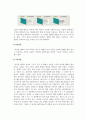 인지심리학_형태를 재인하는 과정 4페이지