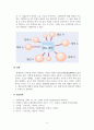 조직론_탈관료제론에 대하여 연구 보고서 작성 (개념 및 특징과 의미 등) 7페이지