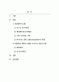 항공예약시스템_대한항공 예약시스템과 아시아나 항공 예약시스템 비교분석 2페이지