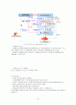 향후 유행할 수 있는 인수공통 감염병과 감염관리에 대한 구체적인 대응 반응 보고서 13페이지
