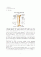 성인건간간호학 / 경골골절 / other fracture of shaft of tinia, open / 진단5 과정2 중재21 4페이지