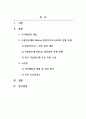 지식재산개론_지식재산권의 분쟁사례와 시사점 2페이지