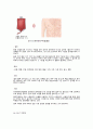 DLBCL 미만성 거대 B세포 림프종 케이스 스터디, 혈액암 환자 케이스 스터디, 암환자 케이스 문헌고찰 간호진단 간호과정 8페이지
