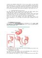 위암 케이스스터디 3페이지