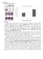 [이화여대 생명과학실험3 분반1등 A+ 레포트] Cell Proliferation Analysis by MTT Assay 7페이지