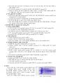 [이화여대 생명과학실험1 분반1등 A+ 레포트] SDS-PAGE and Protein Analysis 4페이지
