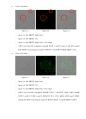 [이화여대 생명과학실험3 분반1등 A+ 레포트] Formation of Immunological Synapse 9페이지