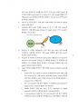 [이화여대 생명과학실험1 분반1등 A+ 레포트] Immunoprecipitation 8페이지
