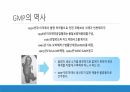 GMP란 무엇인가 5페이지
