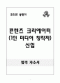 [A+] 콘텐츠 크리에이터(1인 미디어 창작자) 신입 1페이지