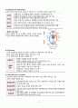 A+성인간호학 실습_심부전(heart failure)_케이스스터디_A+보장합니다 4페이지