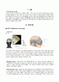 A+성인간호학실습_사례보고서(경막하출혈) 문헌고찰 포함 꼼꼼하게 작성함!!!! 3페이지