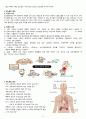 A+성인간호학실습_사례보고서(당뇨병) 문헌고찰부터 꼼꼼하게 작성했어요!! 6페이지