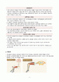 성인 A+ 받은 과제 영화(내사랑 내곁에) 문헌고찰, 근위축성측색경화증(루게릭병)/amyotrophic lateral sclerosis, ALS 6페이지