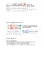 청주대학교 일본인의 삶 중간고사 족보 4페이지