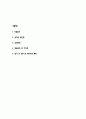 [보험설계사 자소서] 보험설계사 최종합격 자기소개서 2페이지