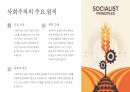 자본주의 vs 사회주의의 장단점 분석 14페이지