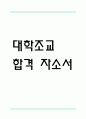 (대학조교 자기소개서) 대학조교 합격 자소서 1페이지
