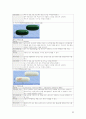 성인간호실습 케이스스터디_급성 췌장염 20페이지