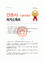 서울의료원 간호사 합격 자기소개서 1페이지