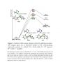 [논문요약] Frustrated Lewis Pair Catalyzed Hydrogenation of Amides Halides as Active Lewis Base in the Metal-Free Hydrogen Activation 4페이지