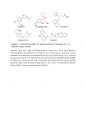 [논문요약] Hydroxy Group Directed Catalytic Hydrosilylation of Amides 2페이지