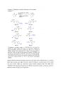 [논문요약] Iridium-Catalyzed Reductive Nucleophilic Addition to Secondary Amides 4페이지