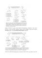 [논문요약] Ru-Catalyzed Deoxygenative Transfer Hydrogenation of Amides to Amines with Formic 6페이지