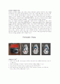 [물리화학실험] 정량펌프 결과리포트 2페이지