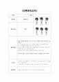 전통문화교육(개인포토폴리오) 5페이지