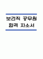 (보건직 공무원 자기소개서) 보건직 공무원 합격 자소서 1페이지