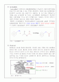 [유기화학실험] acetanilide 재결정 2페이지