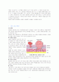 방광암 케이스 스터디(비뇨기계, 방광암 사례 보고서) 5페이지
