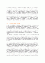 글로벌마케팅사례분석 13페이지