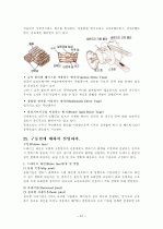 자동차의 구성장치 및 구조 51페이지