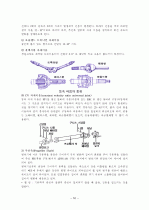 자동차의 구성장치 및 구조 52페이지